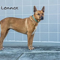Photo of Lennox