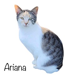 Photo of Ariana