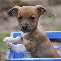 Photo of Liam~adopted!