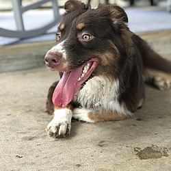 Photo of Hazel