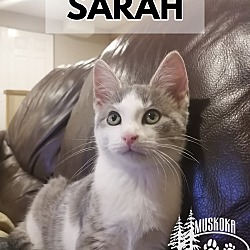 Photo of Sarah