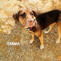 Thumbnail photo of Emma #3