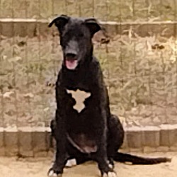Photo of Minnie