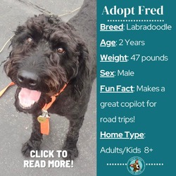 Thumbnail photo of Fred #2