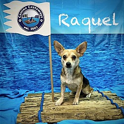 Thumbnail photo of Raquel #4