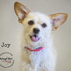 Thumbnail photo of Joy #1