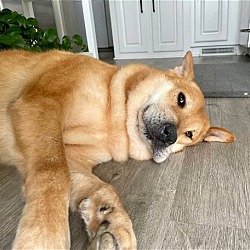 Thumbnail photo of Guinness #3