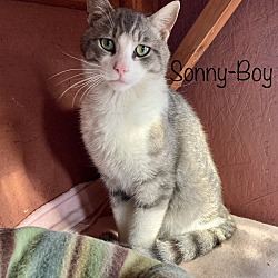 Photo of Sonny-Boy