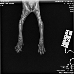Thumbnail photo of Doc Hudson #4