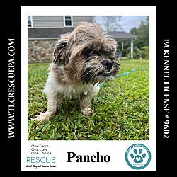 Thumbnail photo of Pancho 090724 #2