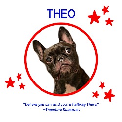 Thumbnail photo of Theo #1
