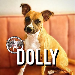 Photo of Dolly Barkton