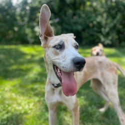 Photo of Molly