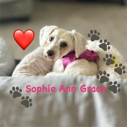Thumbnail photo of SophieAnn Grace #4