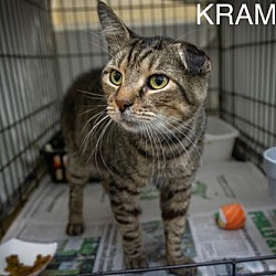 Thumbnail photo of Krampus (FCID# 08/26/2024 - 530 Trainer) #2