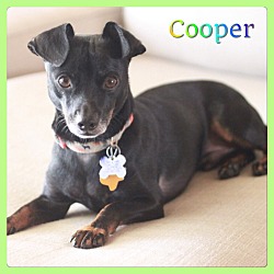 Thumbnail photo of Cooper #2
