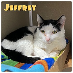 Photo of Jeffrey