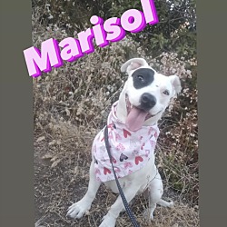 Thumbnail photo of MARISOL #2