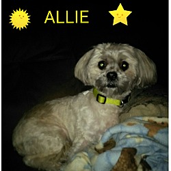 Thumbnail photo of Allie #1