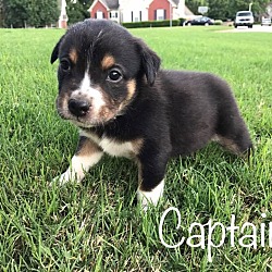 Thumbnail photo of Captain #4