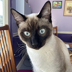 Photo of Cassian