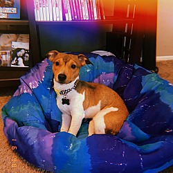 Photo of Howie