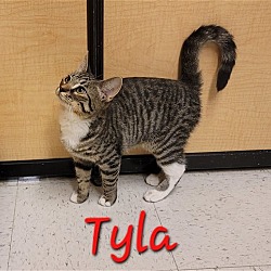 Thumbnail photo of Tyla #2