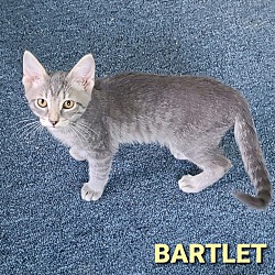 Thumbnail photo of BARTLET #2