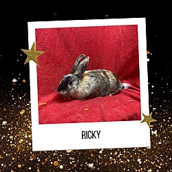 Thumbnail photo of Ricky #2