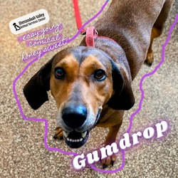 Thumbnail photo of Gumdrop #1