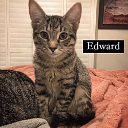 Photo of Edward