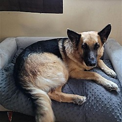 Photo of Sadie Lou