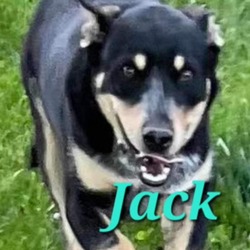 Thumbnail photo of Jack #2