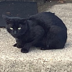 Photo of Bishop