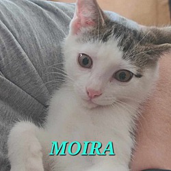 Thumbnail photo of Moira #2