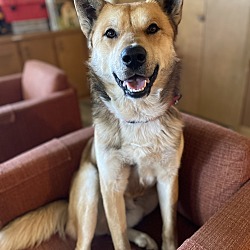 Photo of Jasper