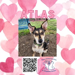 Thumbnail photo of Atlas #2