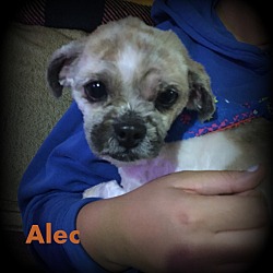 Thumbnail photo of Alec #1