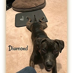 Thumbnail photo of Diamond #4