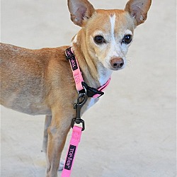 Photo of Penny