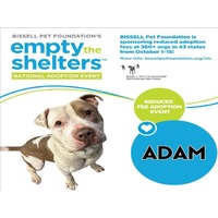 adopt a pet