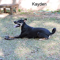 Thumbnail photo of Kayden #3