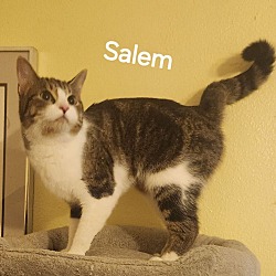 Photo of Salem 5307