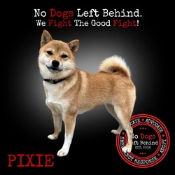 Thumbnail photo of Pixie 7748 #2