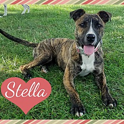 Thumbnail photo of Estella "Stella" #3