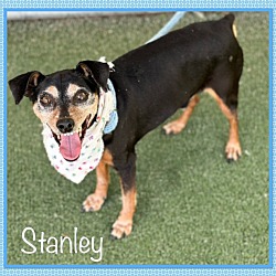 Photo of STANLEY