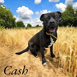 Photo of Cash