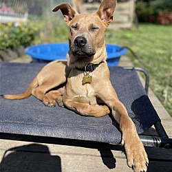 Photo of Ranger