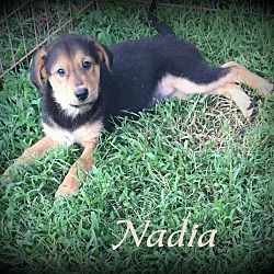 Thumbnail photo of Nadia #3