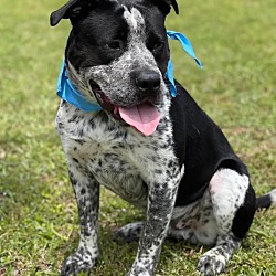 Photo of Blake  A045223